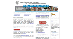 Desktop Screenshot of npga-pygmy.com